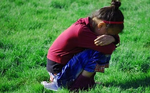 小鳥(niǎo)的哭泣作文15篇