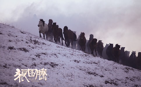 ���ǈD�v���x���Pӛ700��5ƪ