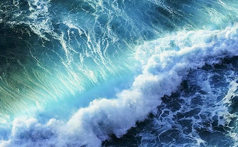 生活浪花作文(精選)