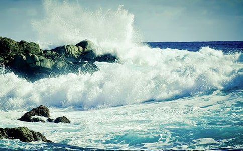 生活中的一朵浪花作文范例(15篇)