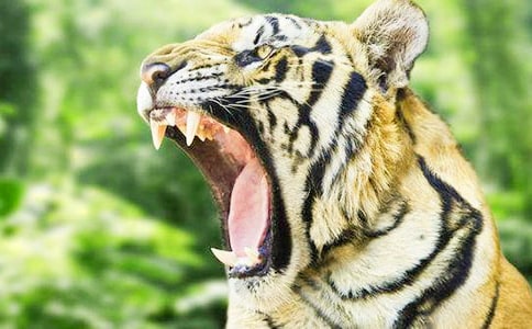 С�ϻ��ğ�������