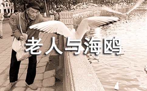 《老人與海鷗》的第二課時教學(xué)設(shè)計(jì)