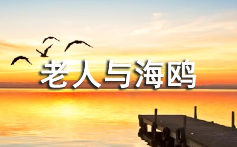 《老人與海鷗》教學(xué)設(shè)計(jì)最新