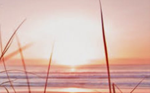 最新《黎明的通知》教學(xué)設(shè)計范文