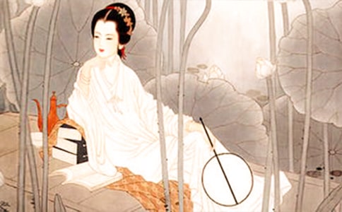 魅力李清照作文800字(通用32篇)