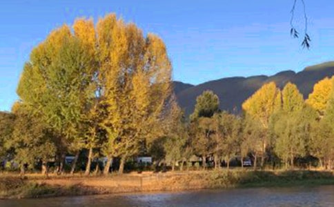 麗江古城 游記作文