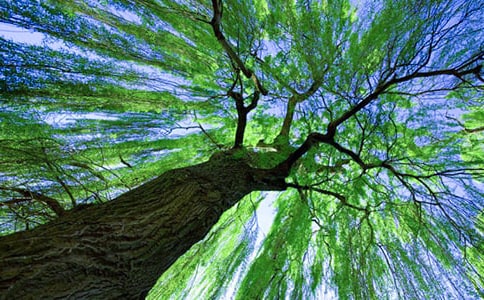 ���᡿���l(xi��ng)������(sh��)����