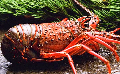 ���r������300��4ƪ