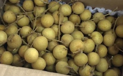 ���l(xi��ng)���خa(ch��n)��������