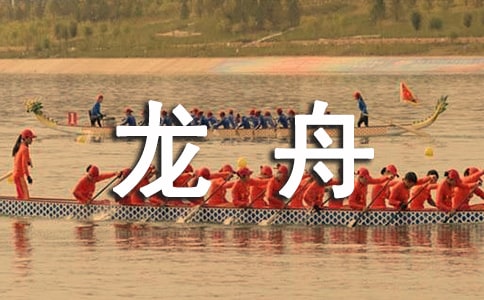 賽龍舟優(yōu)秀作文500字(精選14篇)