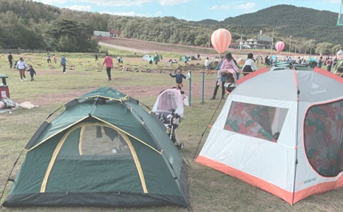 快樂去露營作文