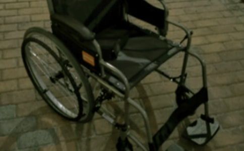 輪椅與遠方初三作文