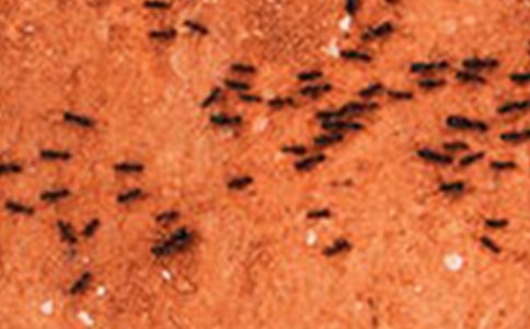 СΛρ���������Ѓ�(y��u)������