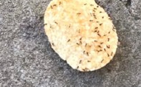 �����x��Λρ�^�����ľ�ƪ