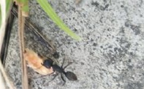 ����(sh��)�á�Λρ?zh��n)����\����ƪ