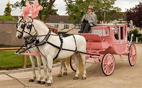 神奇的小馬車童話故事