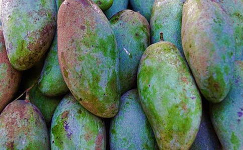 �Ґ۹��l(xi��ng)��â������