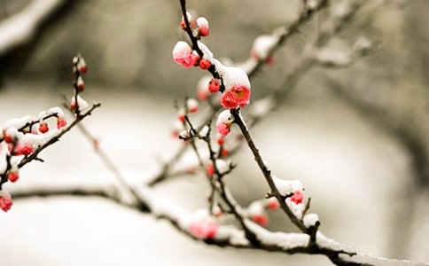 ��ϲ�g÷����(y��u)������