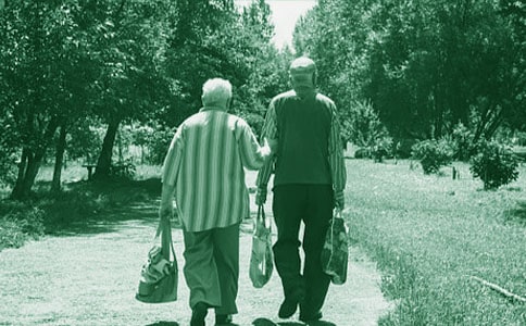 ���̵�`�Z߶����ɢ��