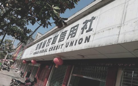 農(nóng)村信用社員工個人年度總結(jié)(精選7篇)