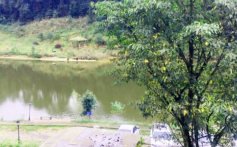 游農(nóng)家樂500字作文(通用14篇)