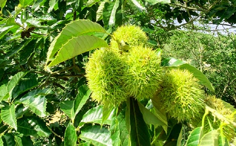 �r(n��ng)�Ҙ��̘I(y��)�߄���(8ƪ)