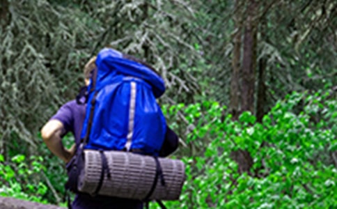 ��ɽ�����_�ă�(y��u)��̌W�OӋ����