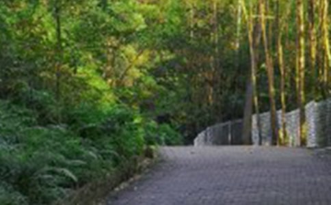 �y������ɽ����200��