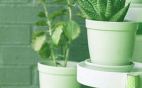 �W(xu��)������ �ҵ�С����