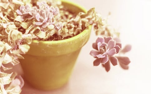 ��������400����ƪ