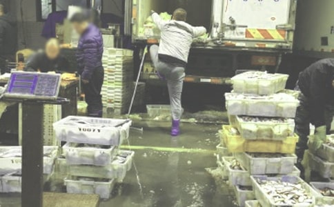 ���l(f��)��ُ(g��u)�ˆT�������Y(ji��)