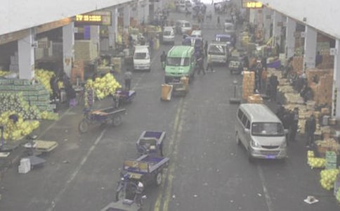 批發(fā)合同模板7篇