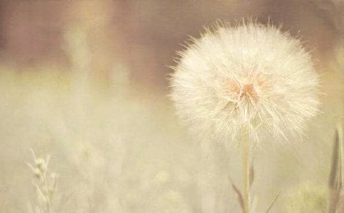 ��ɫ���ѹ�Ӣ��(y��u)��̌W�O(sh��)Ӌ