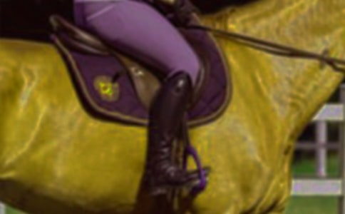 騎馬的優(yōu)秀作文600字_學(xué)生作文大全