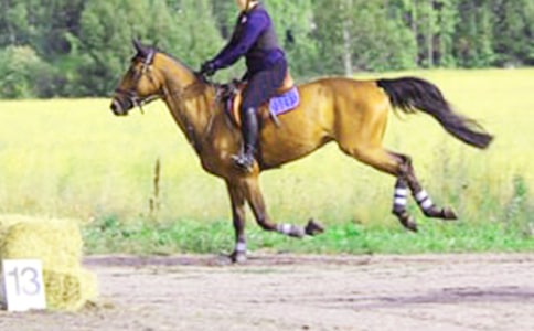 �����T����һ���T�R���ąR����ƪ