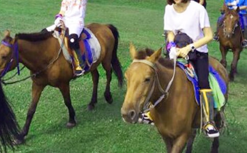 ��һ���T�R����300�ֺϼ�9ƪ