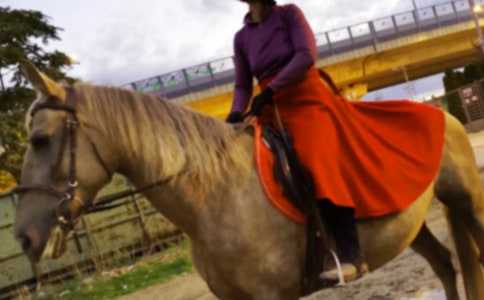 【實(shí)用】第一次騎馬作文400字四篇