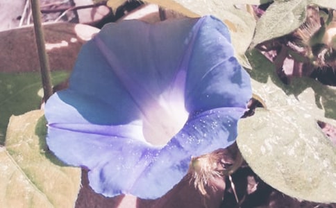 �����x���茑������������15ƪ