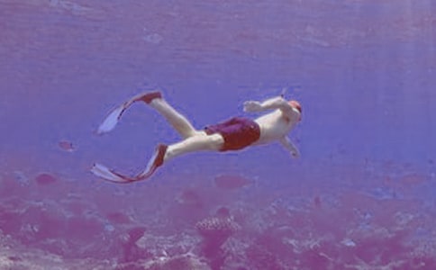 潛水之旅作文500字