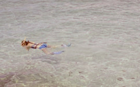 �������Z(y��)��������������ˮ���̈́e��ˮ̫��