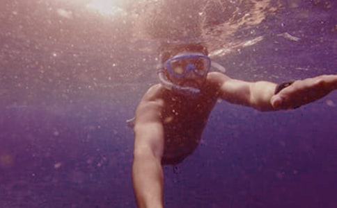 關(guān)于潛水作文500字(通用42篇)