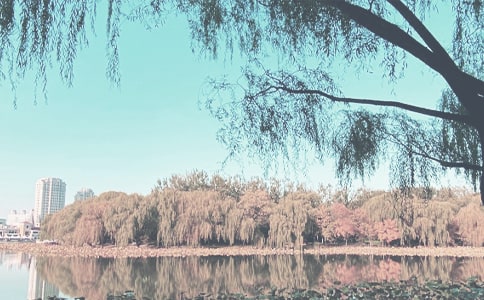 �＾���L�_���ܰl(f��)�Ը�