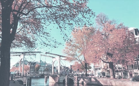 �＾�W(xu��)�ھ��꼉(j��)�M�������Y(ji��)