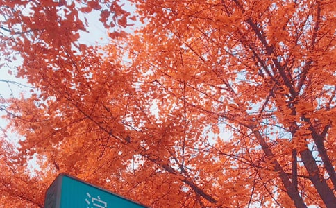 �����x����������400��4ƪ