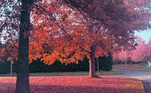 ���յĜ�ů����