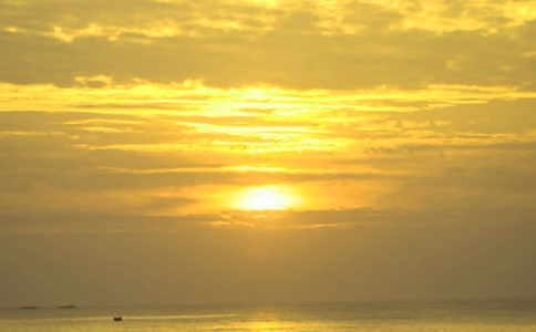 �ճ�֮������