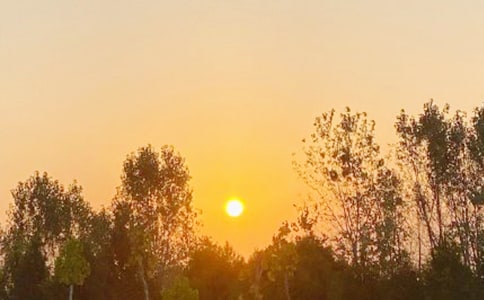 С�W(xu��)���ģ�ż���ճ�