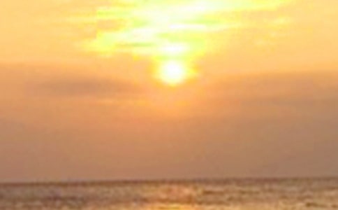 �����A���l(xi��ng)������������ƪ