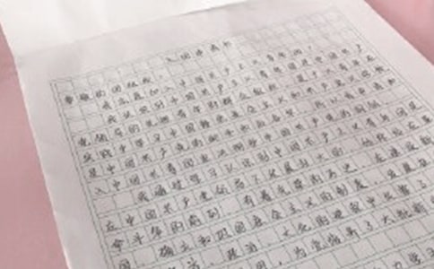 中學(xué)入團申請書600字范文