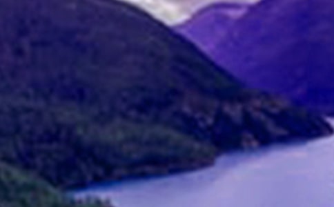 山水的作文600字(精選39篇)